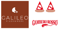 Galileo logo footer
